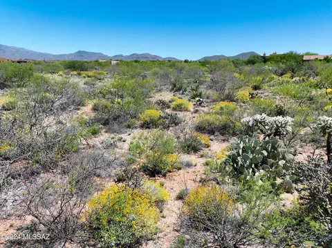 14805 E Circle M Ranch Pl, Vail, AZ 85641 photo 6