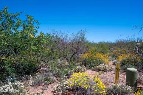 14805 E Circle M Ranch Pl, Vail, AZ 85641 photo 3