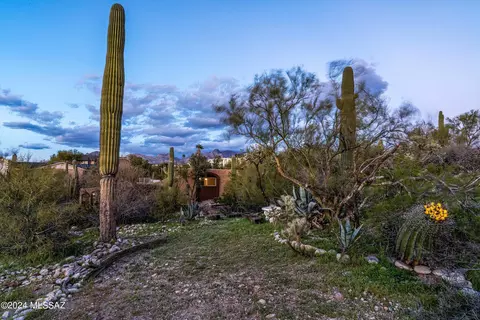 Exterior - 405 E River Rd, Tucson, AZ 85704 photo 3 of 9