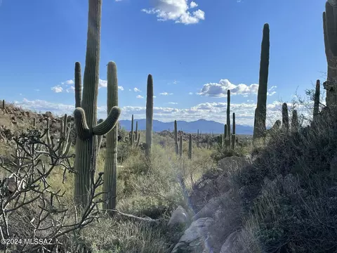 1149 W Tortolita Mountain Circle Cir W #178, Oro Valley, AZ 85755