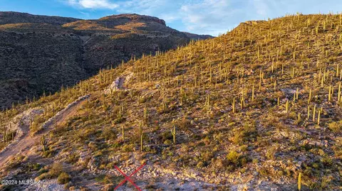12989 E Cabeza De Vaca, Tucson, AZ 85749 photo 2