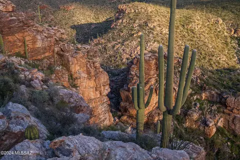 12989 E Cabeza De Vaca, Tucson, AZ 85749 photo 21