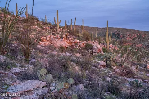 12989 E Cabeza De Vaca, Tucson, AZ 85749 photo 17