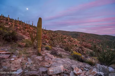 12989 E Cabeza De Vaca, Tucson, AZ 85749 photo 10