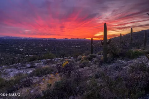 12989 E Cabeza De Vaca, Tucson, AZ 85749 photo 16