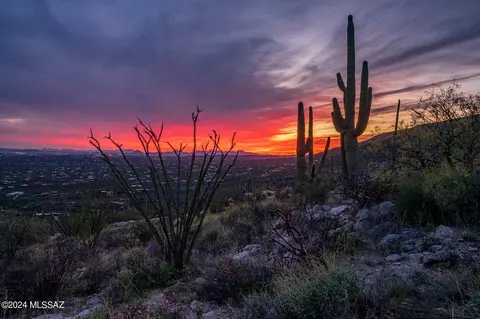 12979 E Cabeza De Vaca, Tucson, AZ 85749