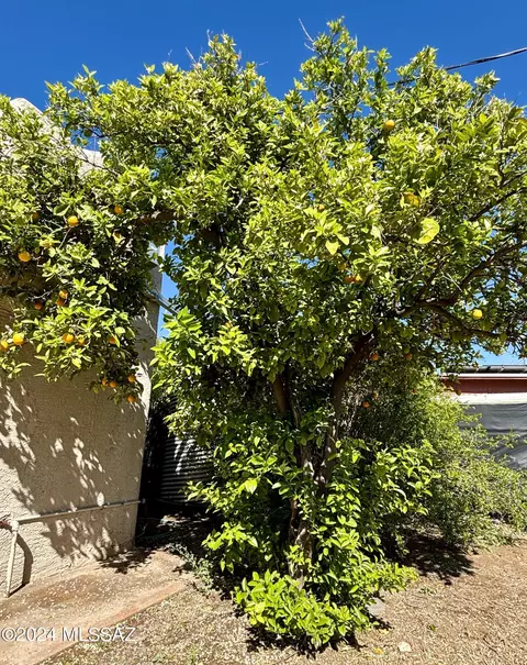 328 E 23rd St, Tucson, AZ 85713 photo 16