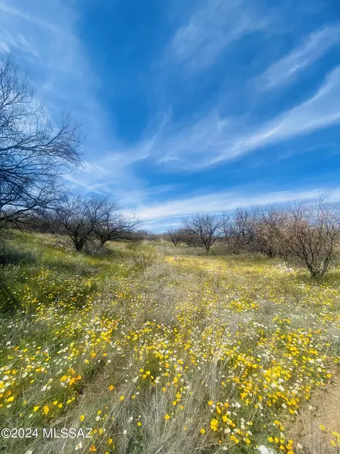 456 Chalet Ct, Rio Rico, AZ 85648