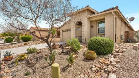 12174 N Golden Mirror Dr, Marana, AZ 85658