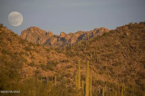 6821 W Desperado Trl, Marana, AZ 85658