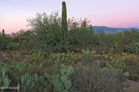 11876 N Vista Del Sol, Oro Valley, AZ 85742