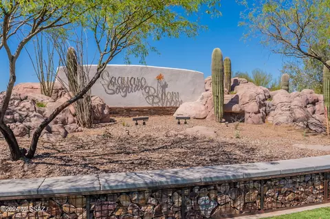 Exterior - 9963 N Ruby Range Trl, Marana, AZ 85653 photo 2 of 11