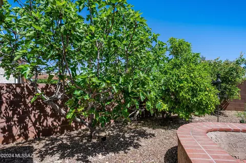7145 E Maritime Dr, Tucson, AZ 85756 photo 25