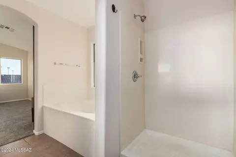 Bath - 10558 S Ariana Dr, Vail, AZ 85641 photo 4 of 4