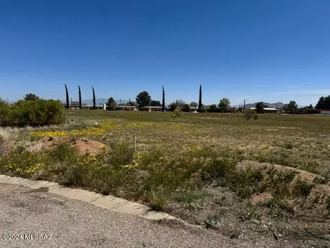 tbd E Geneva Ct #., Pearce, AZ 85625 photo 2