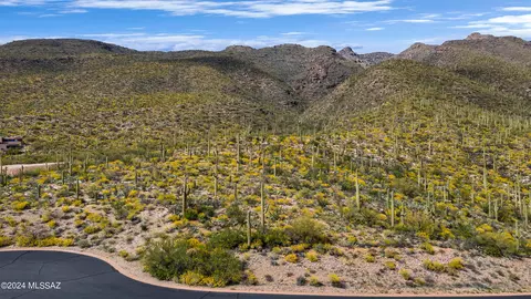10681 E Gibbon Cyn Pl, Tucson, AZ 85749