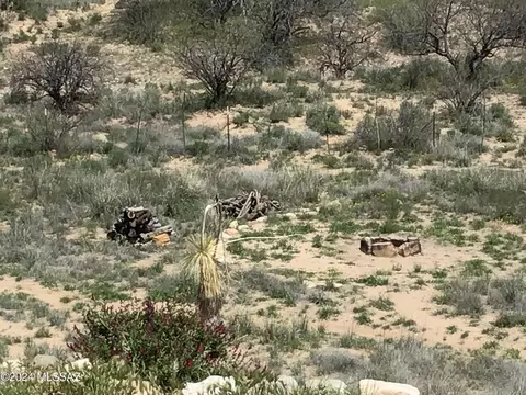 View/Area - 27224 W Four Feathers Lp, Willcox, AZ 85643 photo 11 of 13