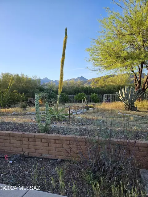 9025 E Saddleback Dr, Tucson, AZ 85749 photo 19
