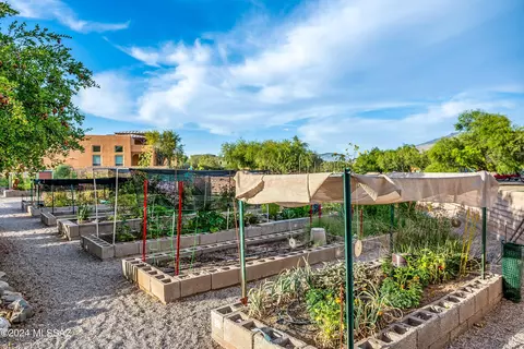 10635 Eisenbergs Pl, Tucson, AZ 85747 photo 42