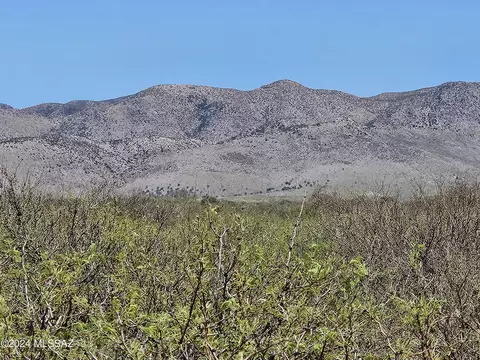 40 E Acres E Carolyn Fraser Ln, Pearce, AZ 85625