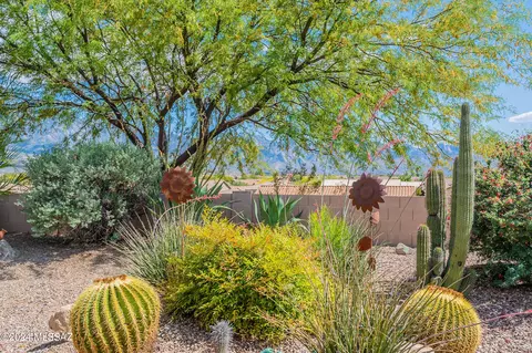 Exterior - 62341 E Amberwood Dr, Saddlebrooke, AZ 85739 photo 2 of 14