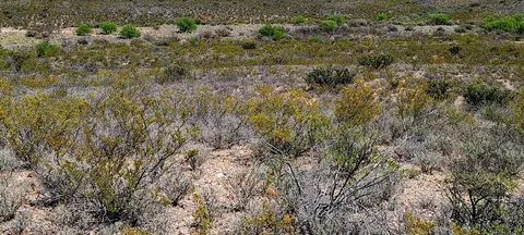 tbd E Rainbow Rd, Tombstone, AZ 85638 photo 6