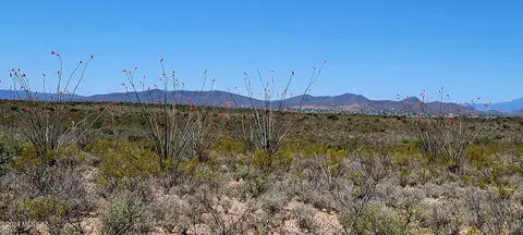 tbd E Rainbow Rd, Tombstone, AZ 85638 photo 5