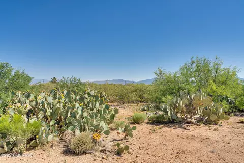 3001 E Cardenas Dr, Vail, AZ 85641 photo 33