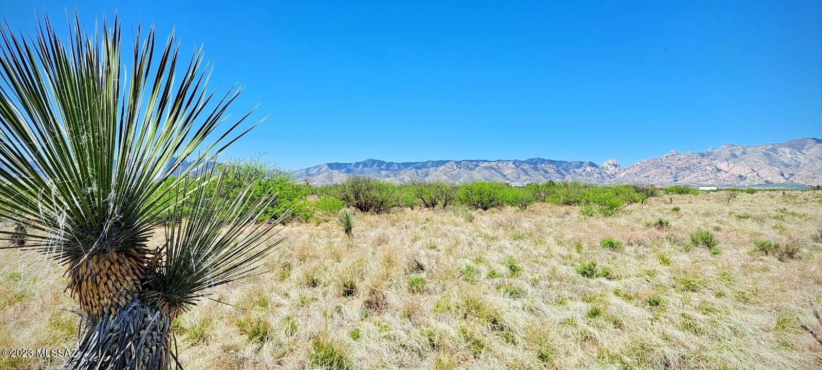 0 84 Acre Eastland St  