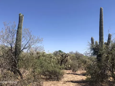 W Fort Lowell, Tucson, AZ 85743