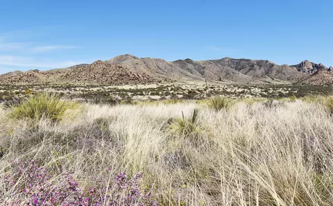 8300 E Ranch House Rd #--, Saint David, AZ 85630 photo 8