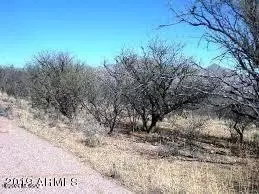 652 Ramon Ct, Rio Rico, AZ 85648
