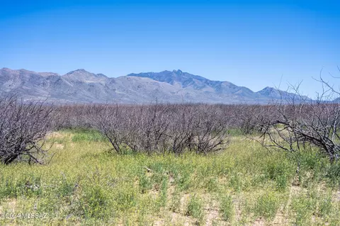 20 E Acres E Moonlight Lot 2 Rd, Willcox, AZ 85643