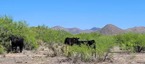 2 5 Ac Off Rucker Canyon Rd, Elfrida, AZ 85610