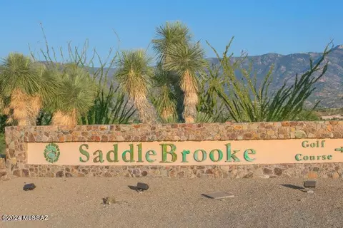 63176 E Harmony Dr, Saddlebrooke, AZ 85739 photo 45
