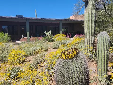 2920 S Jamie Ave, Tucson, AZ 85735