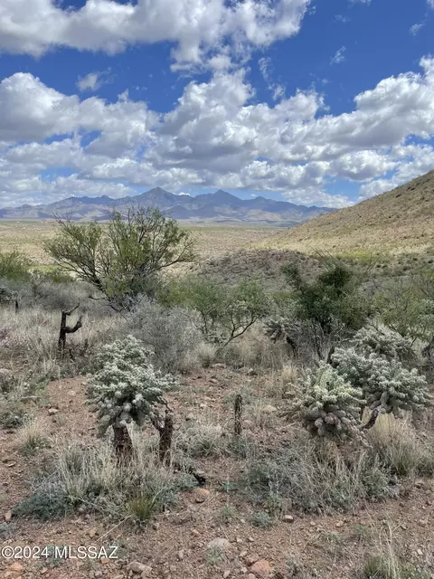 1817 Circulo Tortuga, Rio Rico, AZ 85648