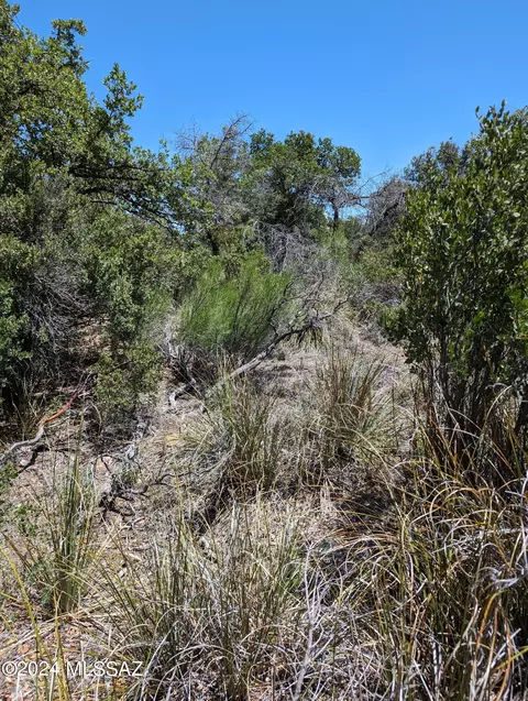 tbd Cody Loop Rd N, Oracle, AZ 85623
