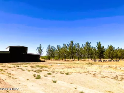 3988 S David Ave, Willcox, AZ 85643 photo 45