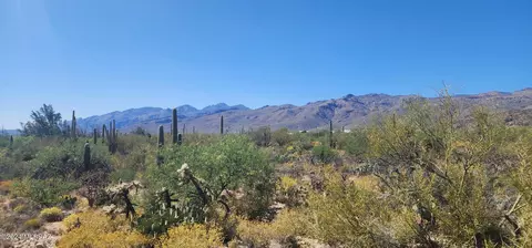 12732 E Nighthawk Ranch Pl, Tucson, AZ 85749