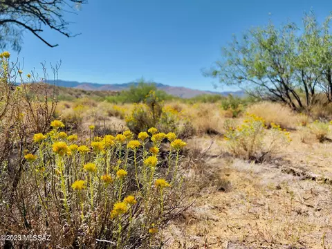 59 Four Feathers Loop Loop, Willcox, AZ 85643 photo 6