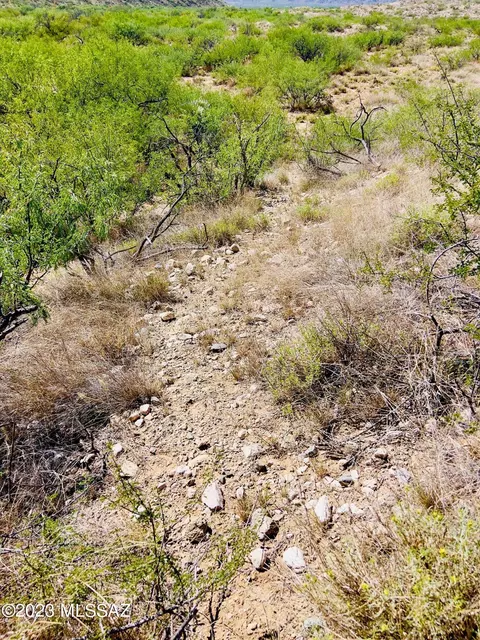 59 Four Feathers Loop Loop, Willcox, AZ 85643 photo 21