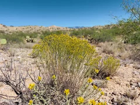 59 Four Feathers Loop Loop, Willcox, AZ 85643 photo 11