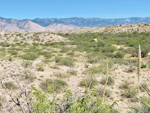 59 Four Feathers Loop Loop, Willcox, AZ 85643 photo 18