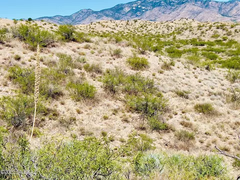 59 Four Feathers Loop Loop, Willcox, AZ 85643 photo 19