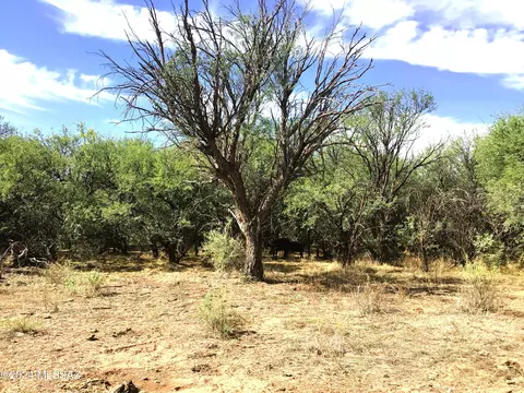 36 W 01ac W Pronghorn Ridge Rd #205, Willcox, AZ 85643 photo 22