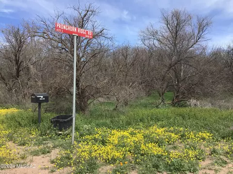 36 W 01ac W Pronghorn Ridge Rd #205, Willcox, AZ 85643 photo 2