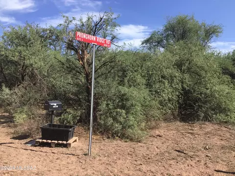 36 W 01ac W Pronghorn Ridge Rd #205, Willcox, AZ 85643 photo 3