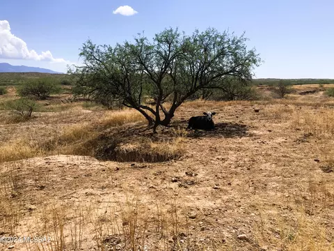 37 04ac Warpaint Path, Willcox, AZ 85643 photo 42