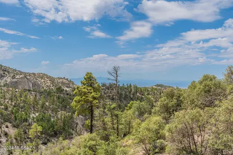 9851 N Willow Loop, Mount Lemmon, AZ 85619 photo 46